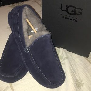 Ugg Ascot For Men